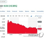 테슬라 7%-루시드 17%-리비안 12%, 전기차 일제 폭락(종합)