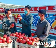 '흥하는 고장으로 전변'에 성공한 북한 북청군 과수 농장