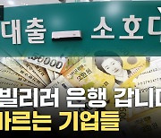 [자막뉴스] 기업들마저 은행 달려갔다...돈 급해 '발 동동'