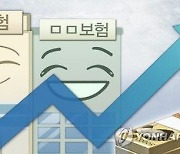 삼성·DB·현대·KB 등 `빅4` 손보업체 3분기 누적 순익 3조