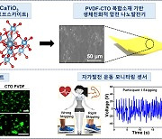 DGIST, 운동 자세의 정확한 분석이 가능한 생체친화적 자가발전 센서 기술 개발