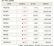 [fnRASSI]장마감, 거래소 상승 종목(세우글로벌 29.9% ↑)