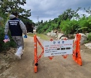 강원도 최대 양돈지역 철원도 아프리카돼지열병 비상