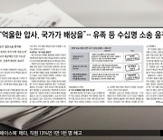 [뉴스 열어보기] "억울한 압사, 국가가 배상을"‥유족 등 수십명 소송 움직임