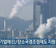 “중소기업에 EU 탄소국경조정제도 지원 필요”