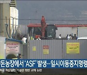 철원 양돈농장에서 ‘ASF’ 발생…일시이동중지명령