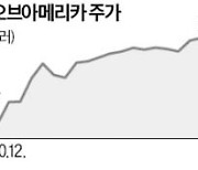 "美 은행株 중 BoA·웰스파고 가장 유망"