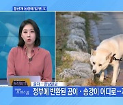 [MBN 프레스룸] 풍산개 어디로…'개싸움' 2라운드