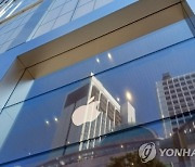 中공장 폐쇄 이어 집단소송…애플 주가 이달 12% ‘뚝’