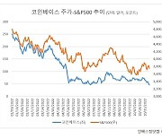 FTX發 ‘가상자산 쇼크’…금융시스템 연쇄 충격 시작