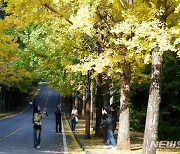 전북, 낮 19~21도 구름 많고 포근…초미세먼지 나쁨