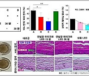 KAIST, 면 발광 마이크로 LED패치 개발…피부 미백효과 높여