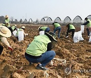 농촌 일손돕기 앞장선 농협유통