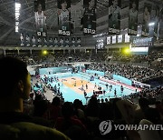 김연경 효과…평일에도 배구경기 매진