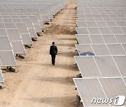 美 신장 '강제노동 금지법'에 태양광 부품 수입 난항