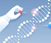 유전자 편집해 맞춤형 면역 항암 치료 길 연다