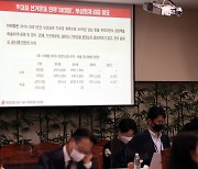 법원, ‘대북 송금 의혹’ 아태협 회장 구속영장 발부