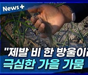 [뉴스+] "제발 비 한 방울이라도···" 극심한 가을 가뭄