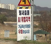 철새 도래지 농가 고병원성 AI 확산…충북 77만여 마리 처분