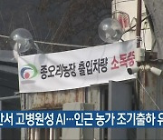 천안서 고병원성 AI…인근 농가 조기출하 유도