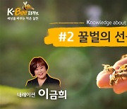 KB금융, '농업인의 날' 맞아 '꿀벌의 선물' 영상 공개