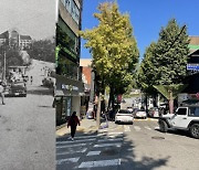 [반세기, 기록의 기억] 그린하우스, 파리다방…아련한 날들의 궤적 더듬는 추억여행