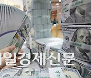 Seoul retained on FX intervention watch list by Washington