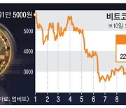 바이낸스 “FTX 인수 철회”… 비트코인 하루 새 15% 폭락