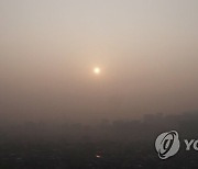 평년보다 포근한 날씨에 제주도 비…수도권 미세먼지 '나쁨'