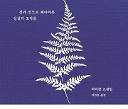 [신간] 수학의 위로