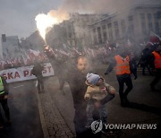 APTOPIX Poland Independence March