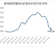 컨테이너 운임, 21주 연속 하락…“내년 컨선 수요 감소”