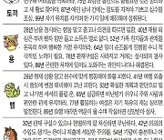 [오늘의 운세/11월 13일]