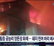 한림읍 금능리 양돈장 화재..돼지 천여마리 폐사