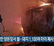 한림읍 한 양돈장서 불…돼지 1,100여 마리 폐사