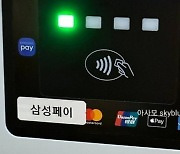 "애플페이, 국내 도입되면 결국…" 삼성 타격 불가피 '초비상' [배성수의 다다IT선]