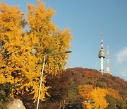 [포토친구] 남산 단풍