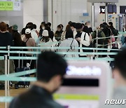 "日 공항엔 한국 말만 들려요"…'무비자 입국' 한달 어땠나