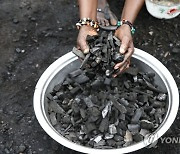 IVORY COAST CHARCOAL MAKING