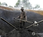 Ivory Coast COP27 Climate Summit