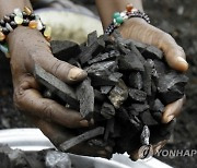 Ivory Coast COP27 Climate Summit