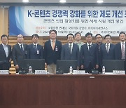 "K-콘텐츠 제작 활성화 위해선 세액 공제 확대돼야"