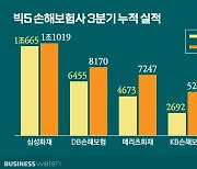 손해보험 '빅5' 3분기만에 작년 전체보다 더 벌었다