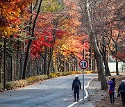 전국 흐리고 비…오후부터 기온 떨어져 '쌀쌀'