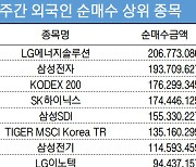 코스피 주간 외국인 순매수 1위 'LG에너지솔루션'