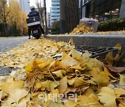 [포토]낙엽들로 배수구가 막혀