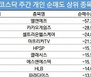 코스닥 주간 개인 순매도 1위 '엘앤에프'