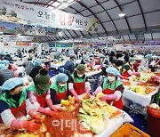 [포토] 평창 고랭지 김장축제