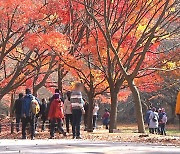 단풍철 전북도내 유명 산 안전 집중 점검