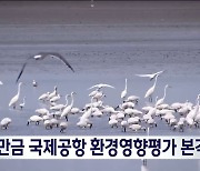 새만금 국제공항 환경영향평가 본격화